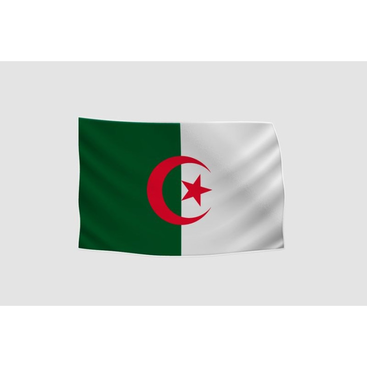 Algeria Flag Style 34 Sticker - DecalsHouse