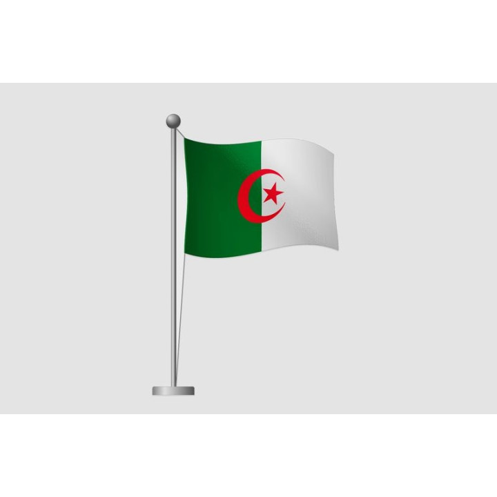 Algeria Flag Style 36 Sticker - DecalsHouse