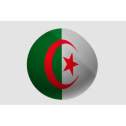 Algeria Flag Style 37 Sticker - DecalsHouse