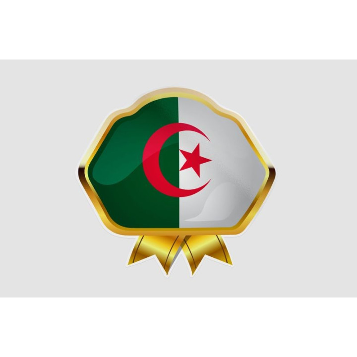 Algeria Flag Style 4 Sticker - DecalsHouse