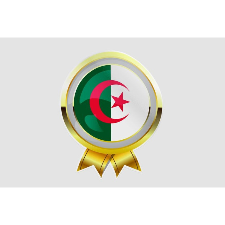 Algeria Flag Style 5 Sticker - DecalsHouse