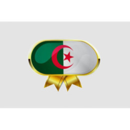 Algeria Flag Style 6 Sticker - DecalsHouse