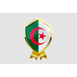 Algeria Flag Style 7 Sticker - DecalsHouse
