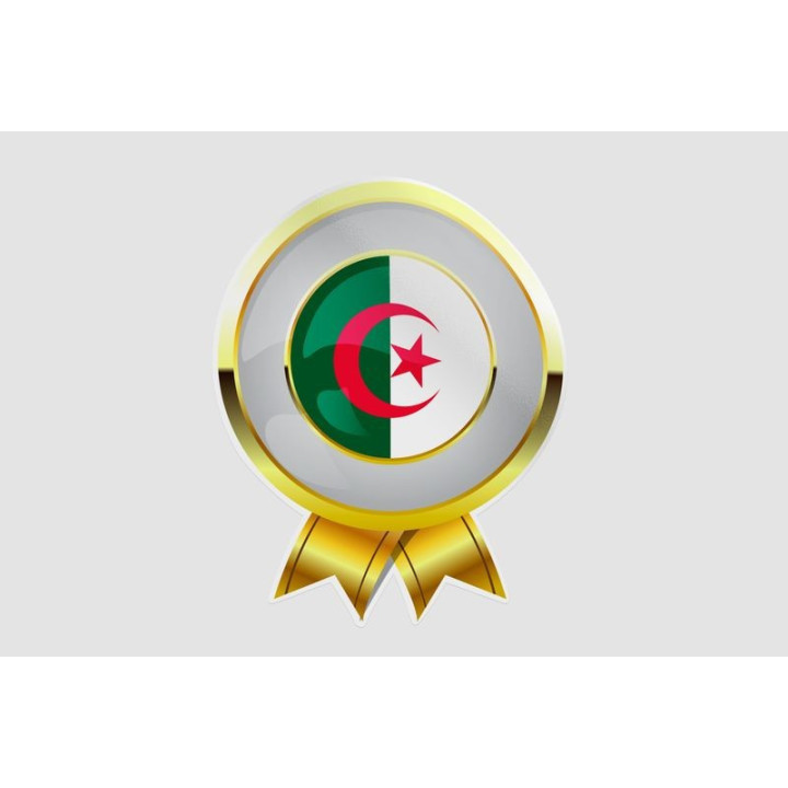 Algeria Flag Style 8 Sticker - DecalsHouse