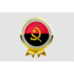 Angola Flag Style 16 Sticker - DecalsHouse