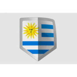 Argentina Flag Style 15 Sticker - DecalsHouse