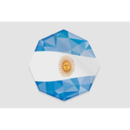 Argentina Flag With Octagone Design Sticker - DecalsHouse