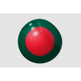 Bangladesh Flag Style 22 Sticker - DecalsHouse