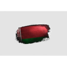 Belarus Flag Style 2 Sticker - DecalsHouse