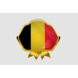 Belgium Flag Style 13 Sticker - DecalsHouse