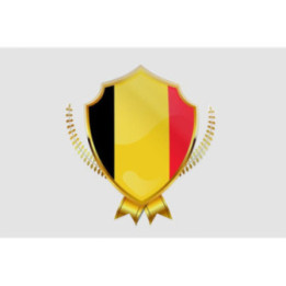 Belgium Flag Style 19 Sticker - DecalsHouse