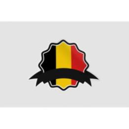 Belgium Flag Style 35 Sticker - DecalsHouse