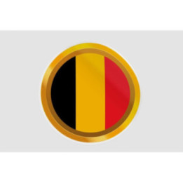 Belgium Flag Style 45 Sticker - DecalsHouse