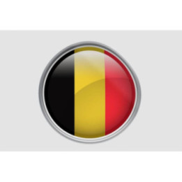 Belgium Flag Style 8 Sticker - DecalsHouse