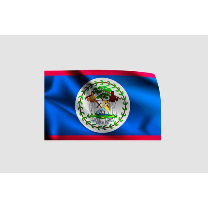 Belize Flag Style 2 Sticker - DecalsHouse