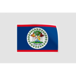 Belize Flag Style 4 Sticker - DecalsHouse