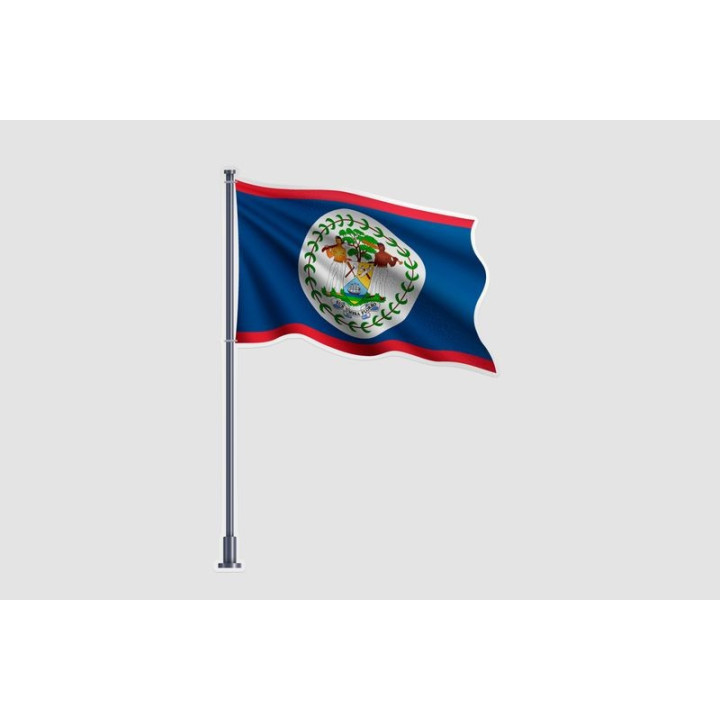 Belize Flag Style 5 Sticker - DecalsHouse