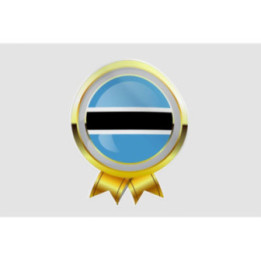 Botswana Flag Style 18 Sticker - DecalsHouse