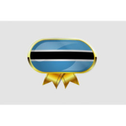 Botswana Flag Style 19 Sticker - DecalsHouse