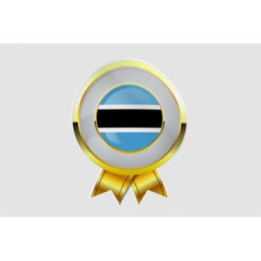 Botswana Flag Style 21 Sticker - DecalsHouse