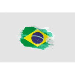 Brazil Flag Style 14 Sticker - DecalsHouse