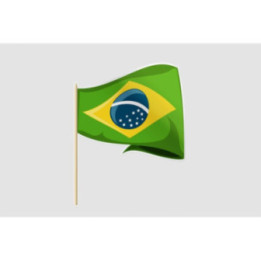 Brazil Flag Style 20 Sticker - DecalsHouse