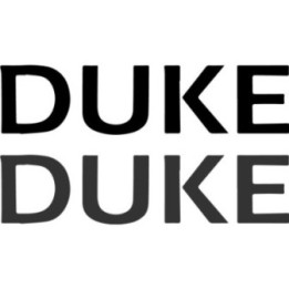 Buy Beechcraft Duke Aviation Online