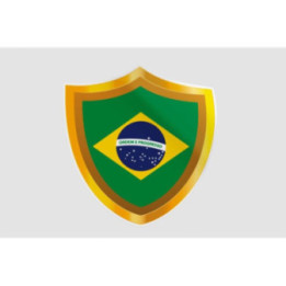 Brazil Golden Badge Dh Style 4 Sticker - DecalsHouse