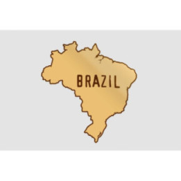 Brazil Map Style 10 Sticker - DecalsHouse