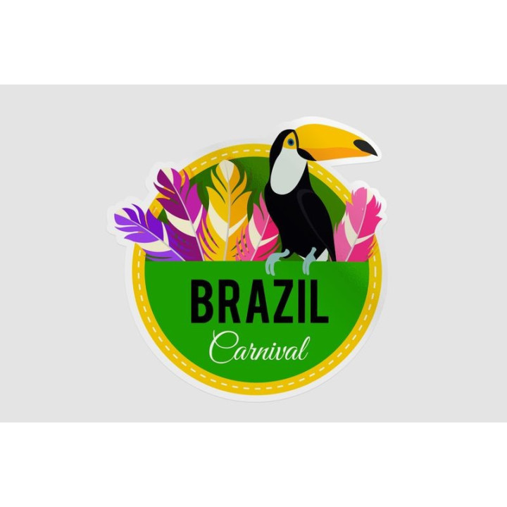 Brazil Carnival Stickers – Toucan Tropical Decals (2-Pack)