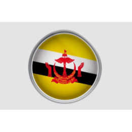 Brunei Flag Style 6 Sticker - DecalsHouse