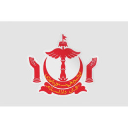 Brunei National Emblem Sticker - DecalsHouse