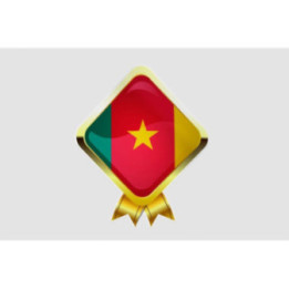 Cameroon Flag Sticker - DecalsHouse