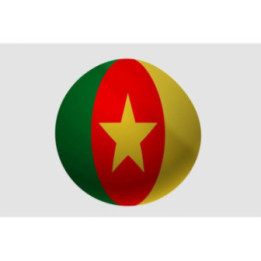 Cameroon Flag Style 12 Sticker - DecalsHouse