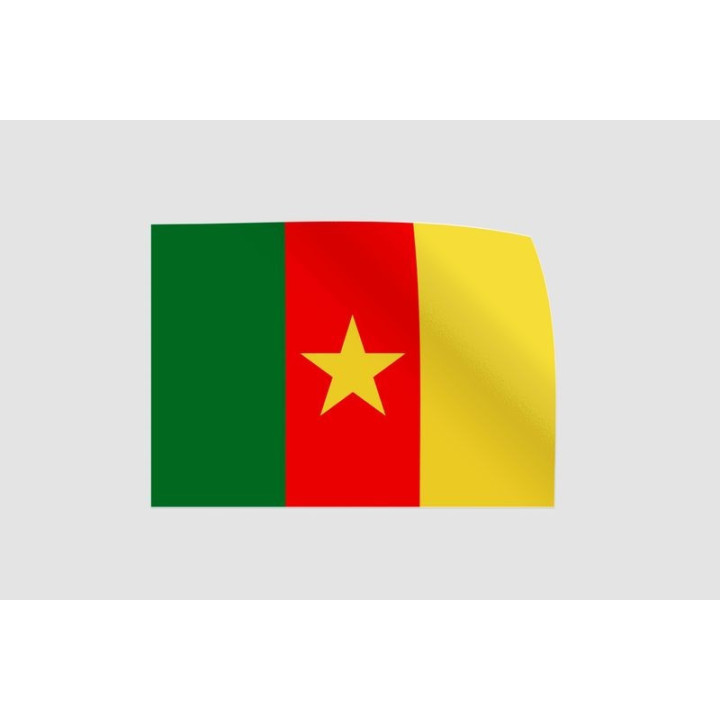 Cameroon Flag Style 14 Sticker - DecalsHouse