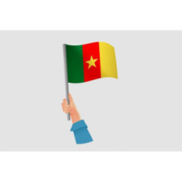 Cameroon Flag Style 15 Sticker - DecalsHouse