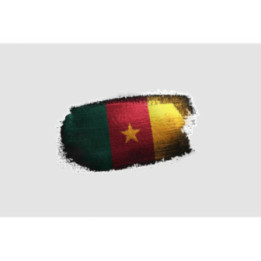 Cameroon Flag Style 26 Sticker - DecalsHouse