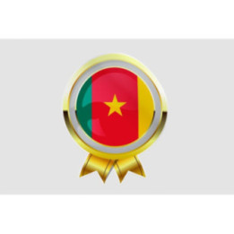 Cameroon Flag Style 4 Sticker - DecalsHouse