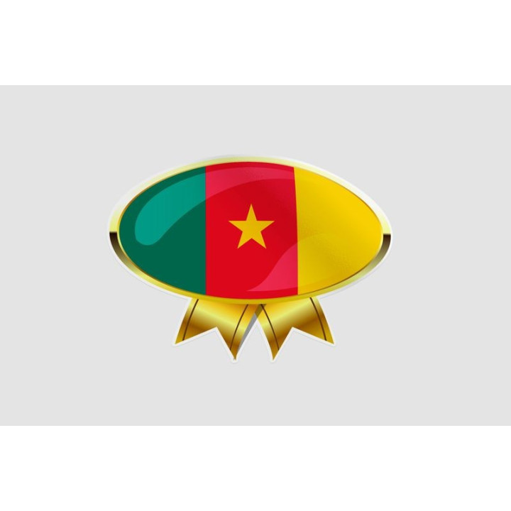 Cameroon Flag Style 7 Sticker - DecalsHouse