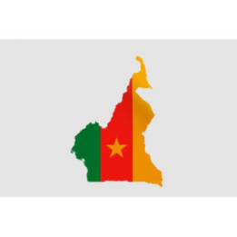 Cameroon Map Sticker - DecalsHouse