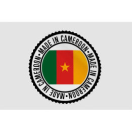 Cameroon Quality Label Style 5 Sticker - DecalsHouse