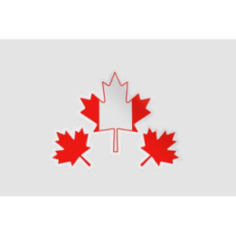 Canada Day With Maple Leaf Style 8 Sticker - DecalsHouse