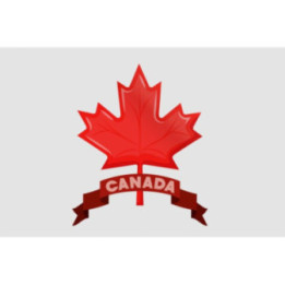 Canada Leaf Style 4 Sticker - DecalsHouse