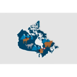 Canada Map Style 7 Sticker - DecalsHouse
