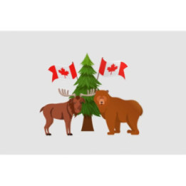 Canada Style 12 Sticker - DecalsHouse