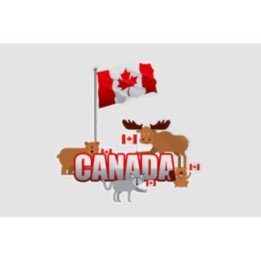 Canada Style 28 Sticker - DecalsHouse