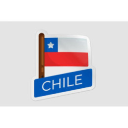 Chile Flag Style 2 Sticker - DecalsHouse