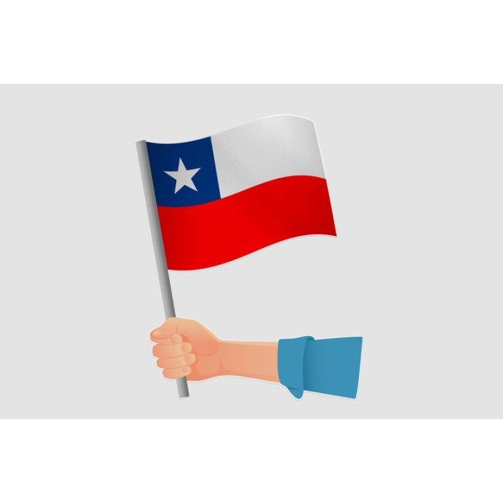 Chile Flag Style 5 Sticker - DecalsHouse