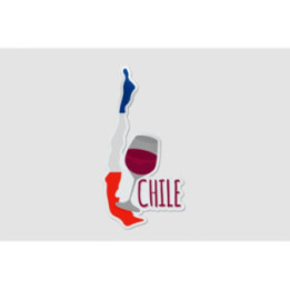Chile Map Style 3 Sticker - DecalsHouse