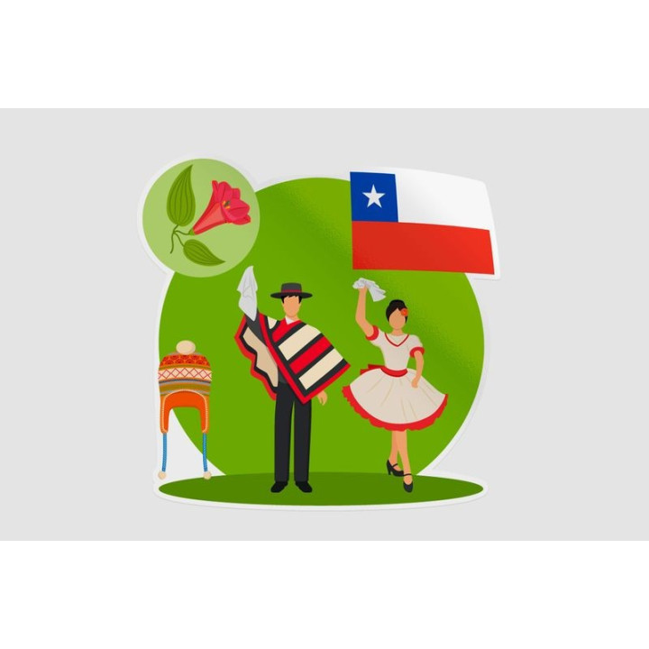 Chile Style 2 Sticker - DecalsHouse
